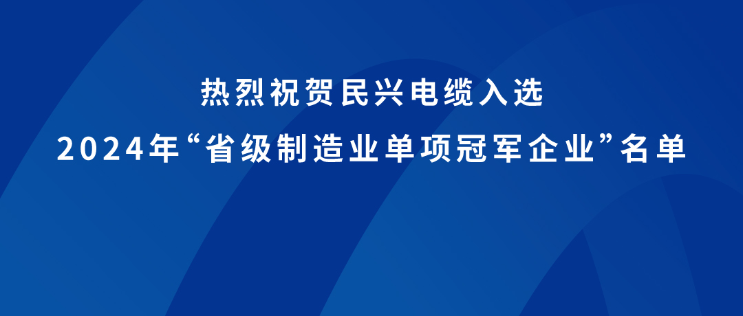 DB电竞
荣获广东省制造业单项冠军！